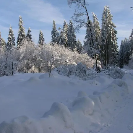 דירה Schneckenhuette