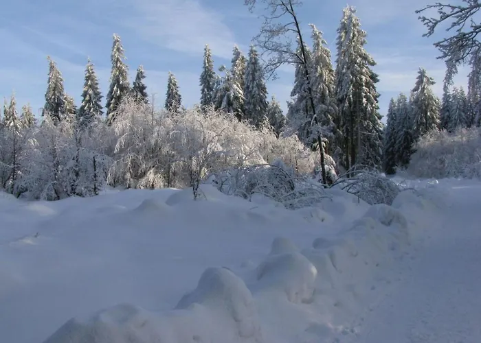 Daire Schneckenhuette